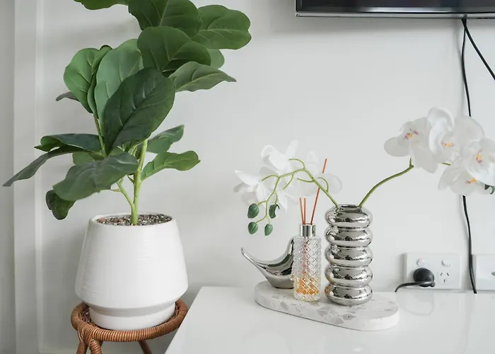 Modern Minimalist Haven
